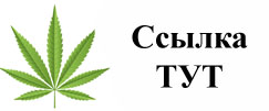 Купить наркотики в Барнауле